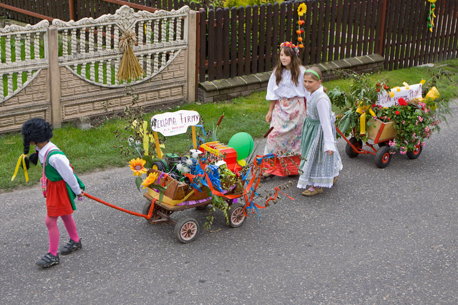 dozynki_gminne_dolna_2010_IMG_1427