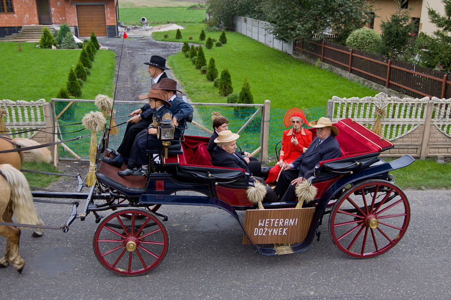 dozynki_gminne_dolna_2010_IMG_1487