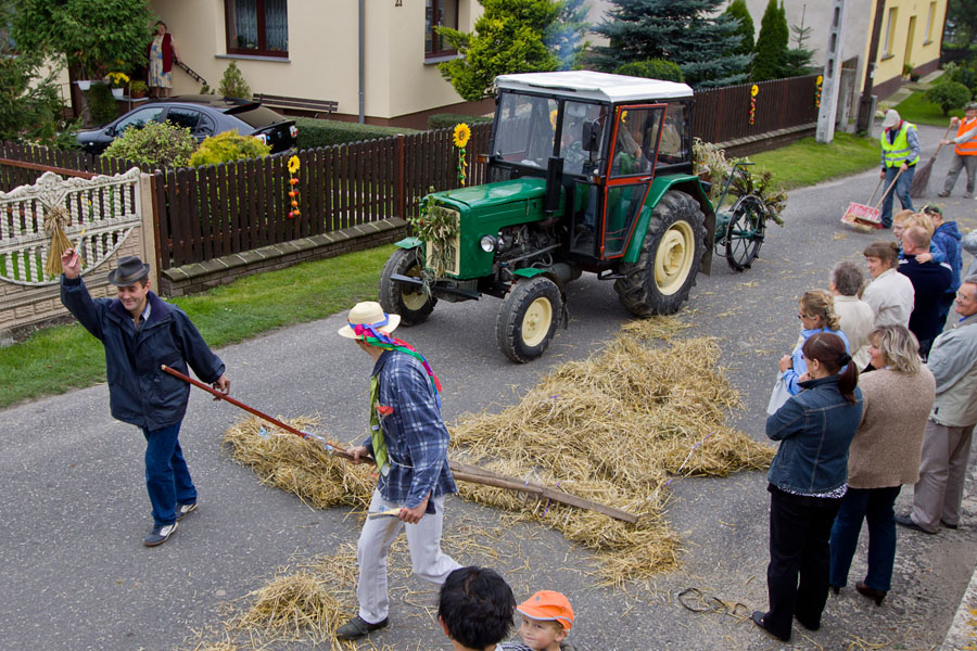 dozynki_gminne_dolna_2010_IMG_1502