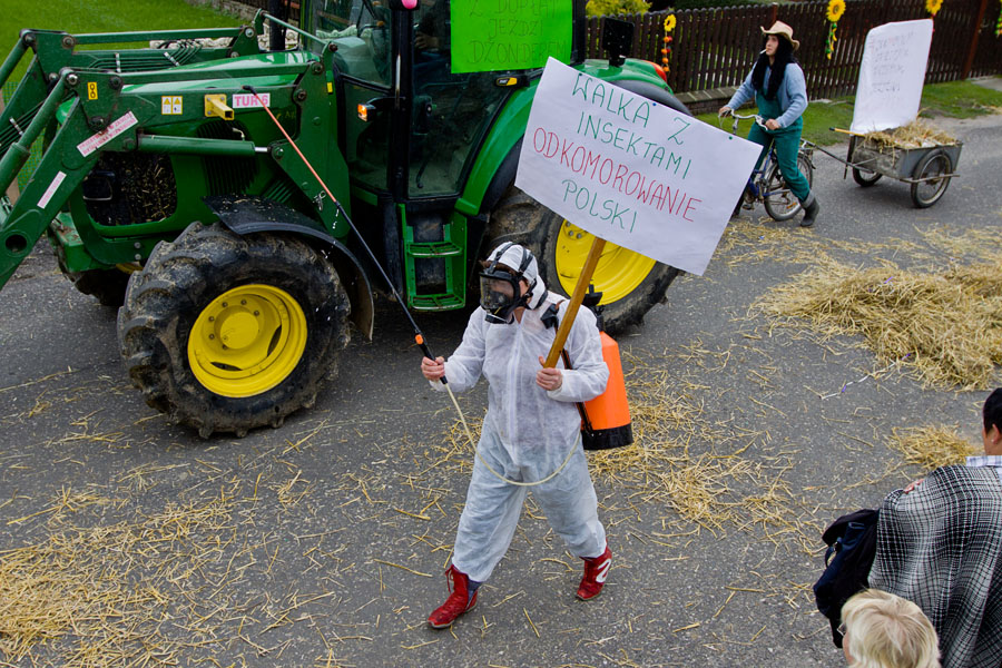 dozynki_gminne_dolna_2010_IMG_1535