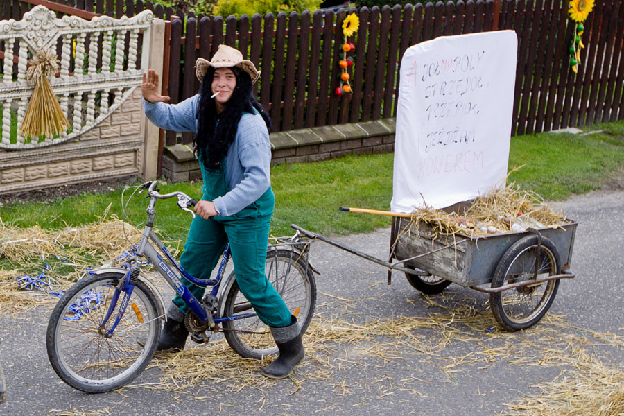 dozynki_gminne_dolna_2010_IMG_1537