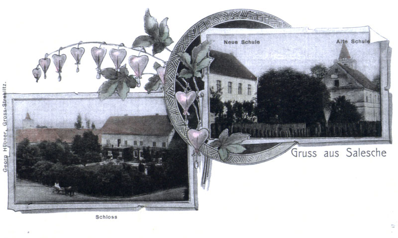 Zalesie Śląskie na starej fotografii