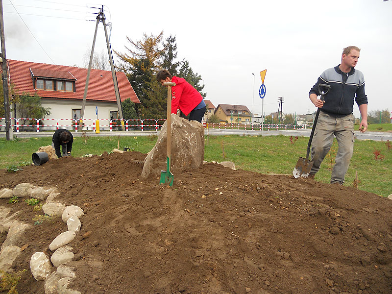 DSCN0226